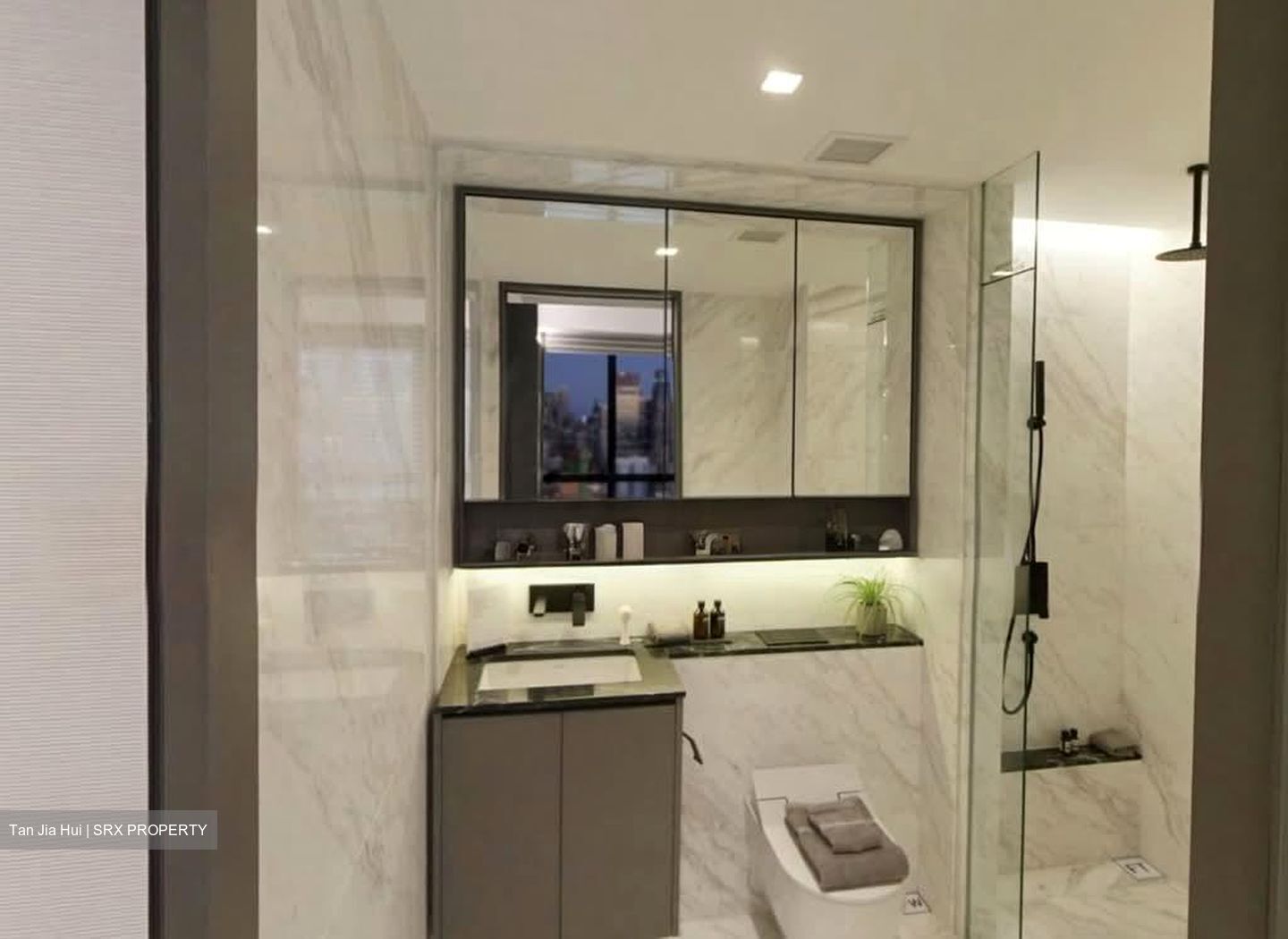 The Landmark (D3), Condominium #563090841